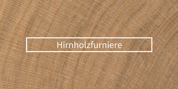 Hirnholzfurniere