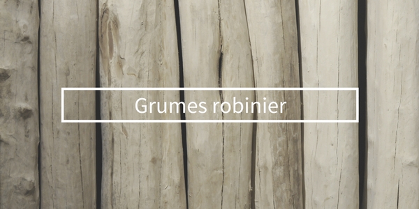 Grumes robinier