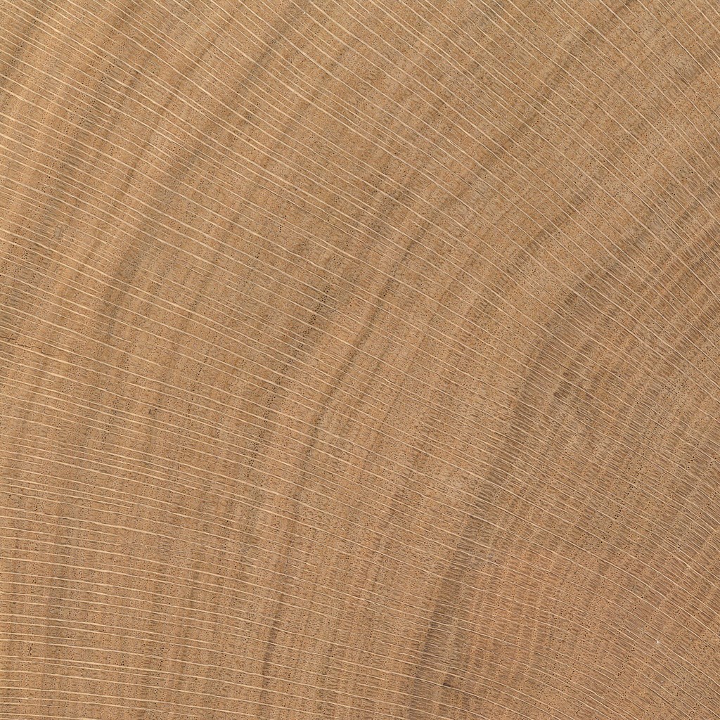 Butt Cut Veneer European Oak 0.90 mm whole slices over diameter 70 cm