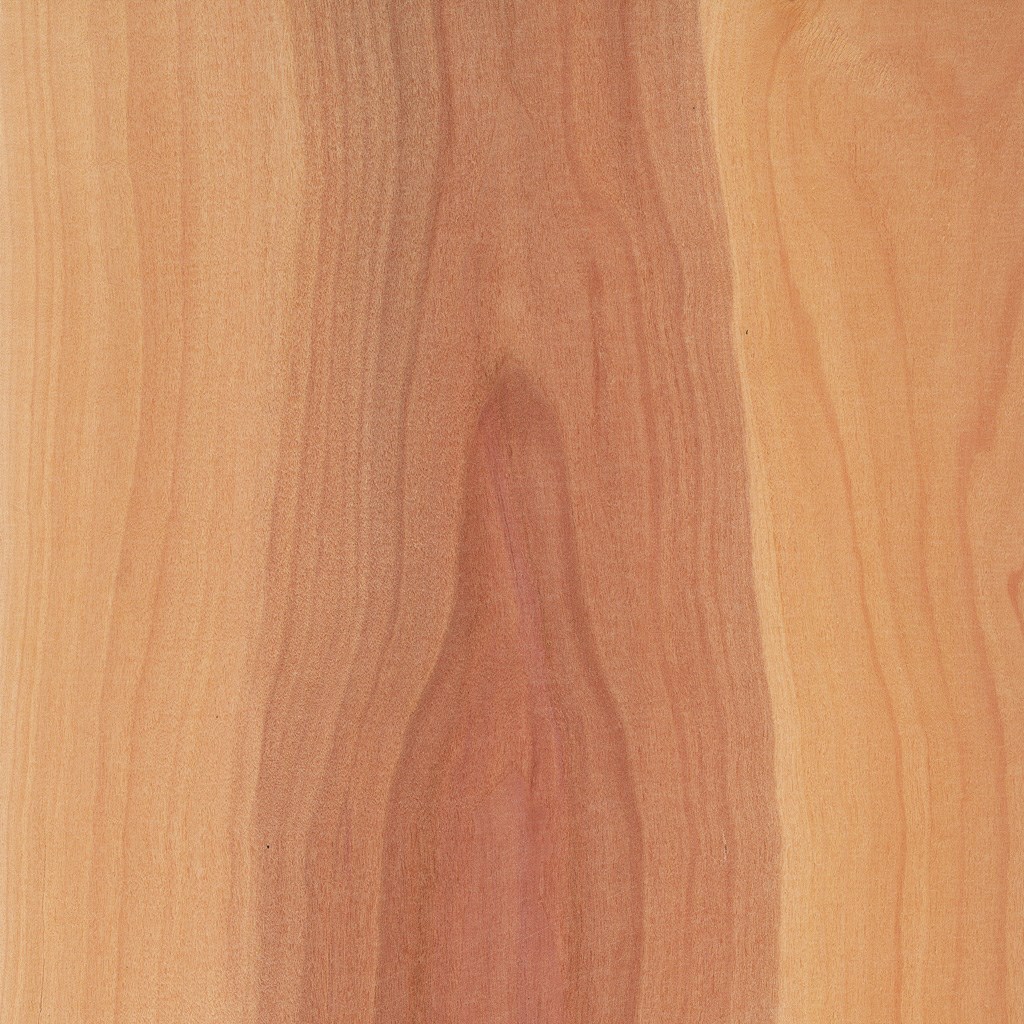 Sägefurniere Apfelbaum 7 mm