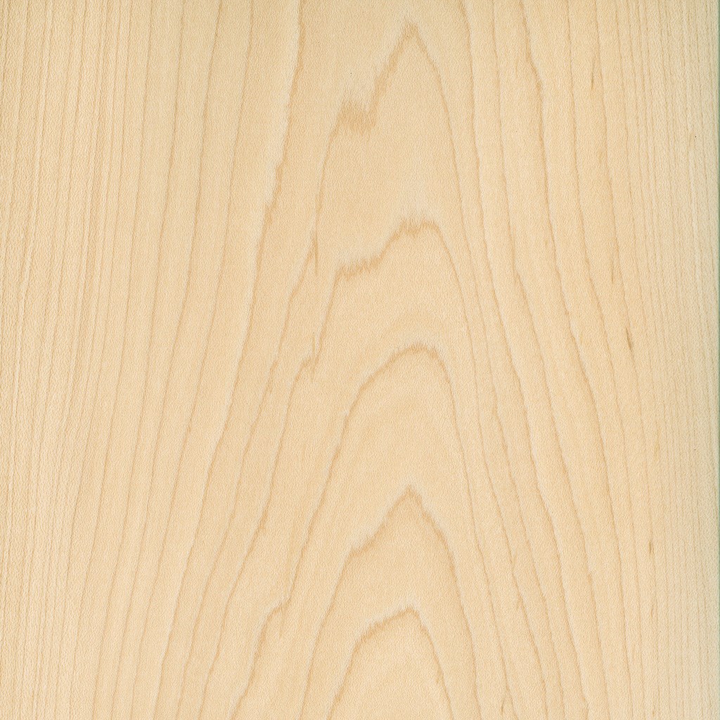 veneer sample Hard Maple