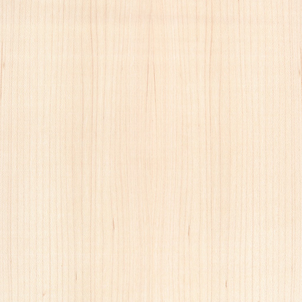 veneer sample Hard Maple