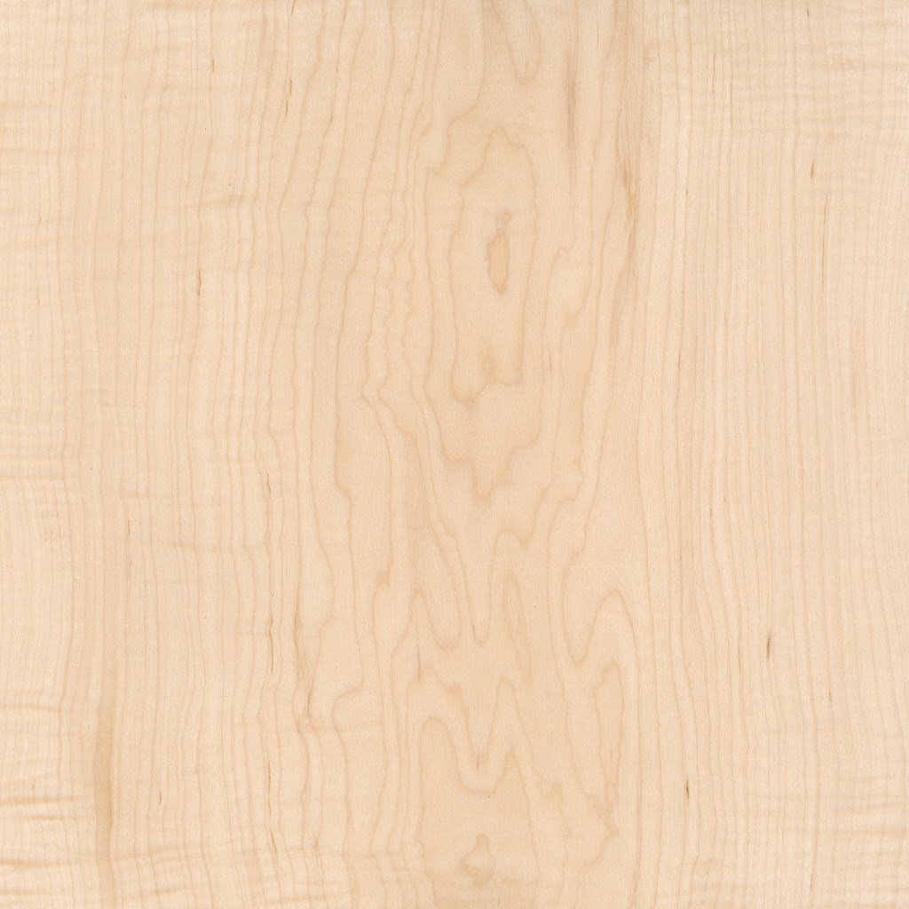 veneer sample figured Hard Maple