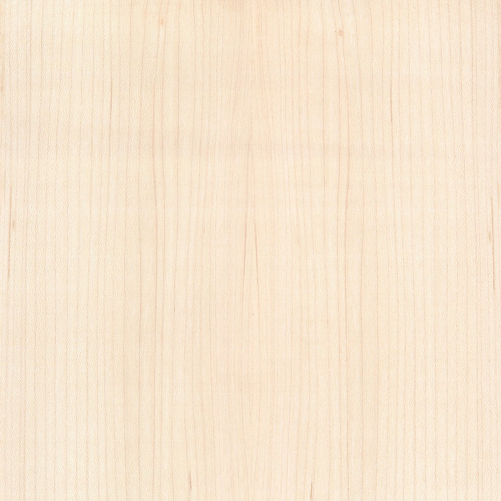 veneer sample figured Hard Maple