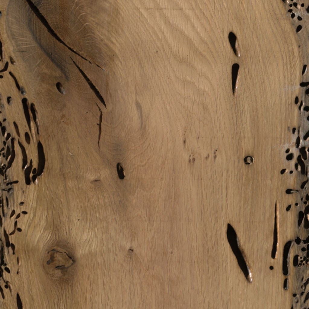 veneer sample Oak Briccola