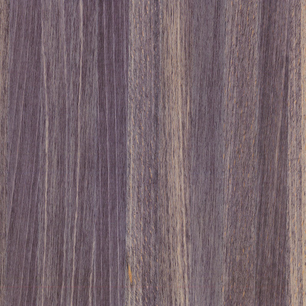 veneer sample  VINTERIO Beech Driftwood