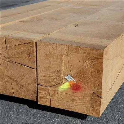 Timber Beams European Oak sawn 250 x 250 mm
