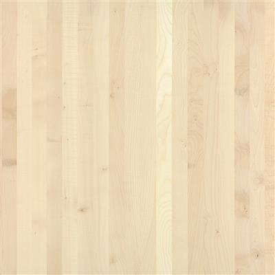 3-layer wood panel European Sycamore | A/B | continuous lamellas