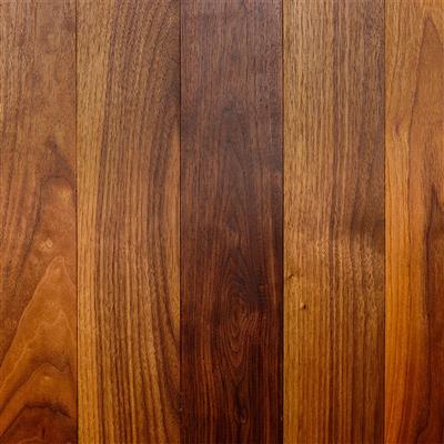 Solid parquet Solid 145 | Walnut steamed classic | sanded | natural oiled
