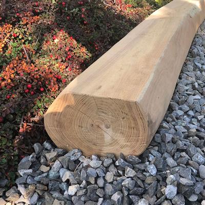 Robinienholz Naturholzschwelle | Durchmesser Ø ca. 16-20 cm | Länge 300 cm